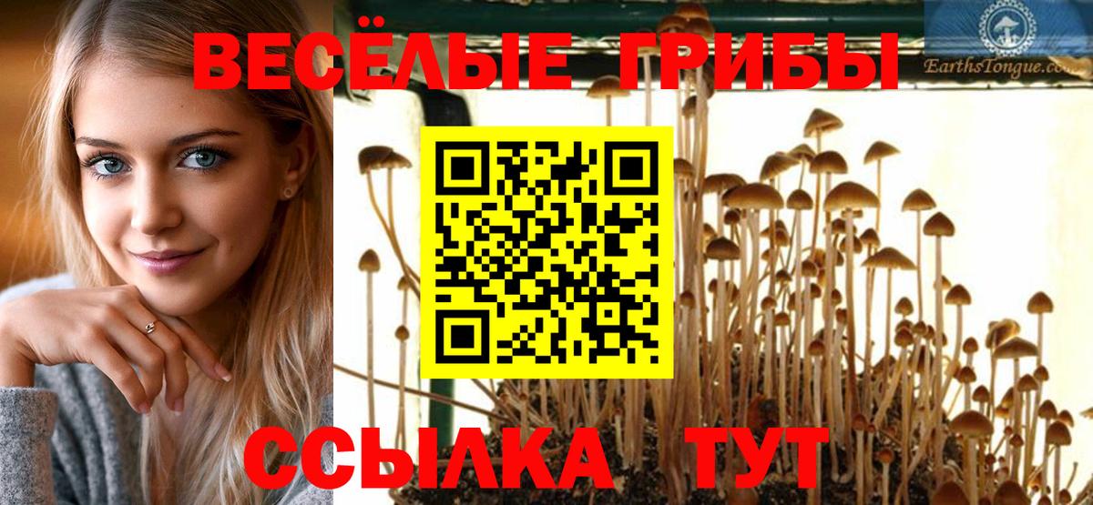 Галлюциногенные грибы прущие грибы  Вход с VPN  Майский 
