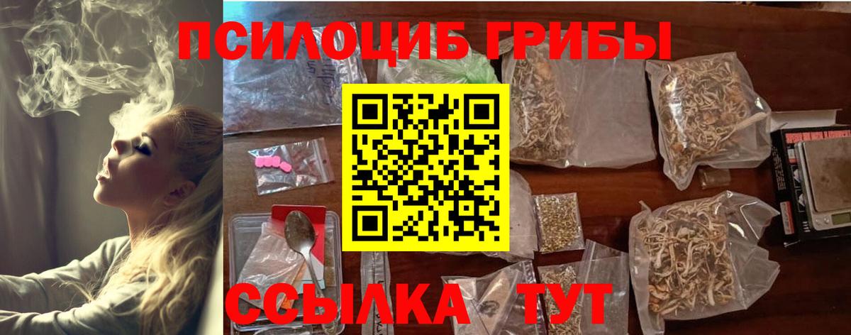 Псилоцибиновые грибы Psilocybine cubensis Майский